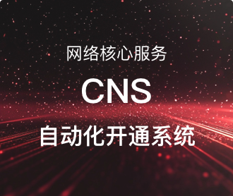 網(wǎng)絡核心服務CNS自動化開通系統(tǒng)