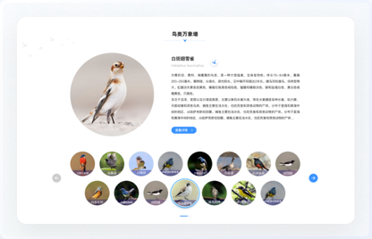 高端網站設計