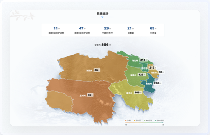 高端網站設計