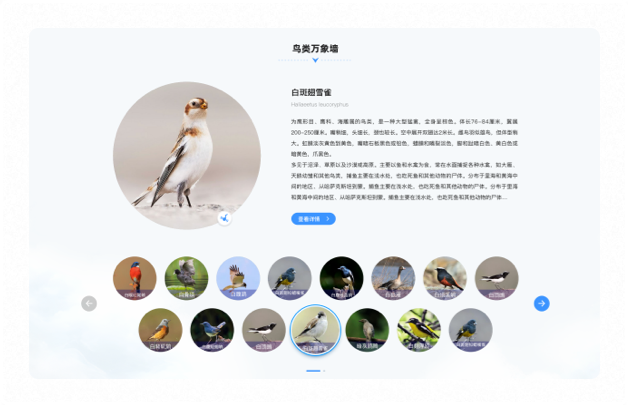 高端網站設計